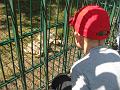 Zoo Cottbus 022